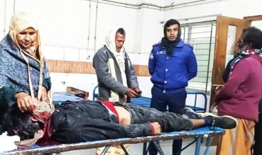 চুয়াডাঙ্গায় পাখিভ্যান ও আলমসাধু মুখোমুখি সংঘর্ষে নিহত-১