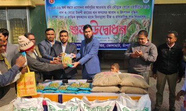 ভোলাহাটে বিনামূল্যে বীজ ও সার বিতরণ