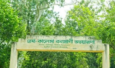 ‎কালেঙ্গায় বনরক্ষী দলের সঙ্গে গাছচোরদের সংঘর্ষ