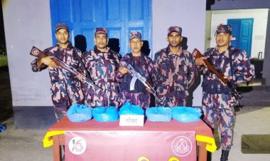 চাঁপাইনবাবগঞ্জে গাঁজা জব্দ