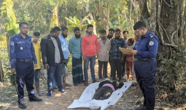 বরিশাল-কুয়াকাটা মহাসড়কের পাশে যুবক লাশ উদ্ধার 