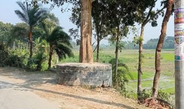 চুয়াডাঙ্গার হৈবতপুরে স্কুলগামী মেয়েদের ওপর ইভটিজিং উদ্বিগ্ন অভিভাবকরা 