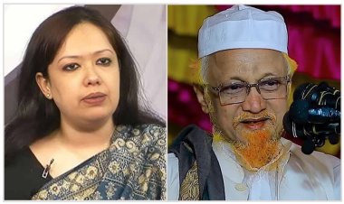 রুমিন ফারহানার আসনে জুনায়েদ আল হাবিবকে বিএনপির সমর্থন