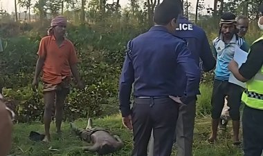 ‎হবিগঞ্জে প্রেমঘটিত বিরোধে নিখোঁজের দুই দিন পর যুবকের মরদেহ উদ্ধার   ‎