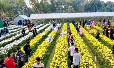 দর্শনার রামনগরে ফুলে ভরা রঙিন বাগানের সৌন্দর্যে মুগ্ধ স্থানীয়রা