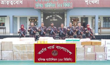 ‎হবিগঞ্জে সীমান্তে ১কোটি ১৫ লাখ টাকার ভারতীয় প্রসাধনী ও অবৈধ ওষুধ আটক