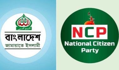 জামায়াতের সঙ্গে সমঝোতায় মনোনয়ন পাচ্ছেন এনসিপির যে নেতারা