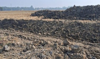 ‎নবীগঞ্জে কৃষি জমি কাটার দায়ে ২ লাখ টাকা জরিমানা