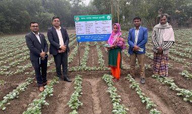 টেকসই কৃষি প্রযুক্তি সম্প্রসারণ-সময় সাপেক্ষ ও শ্রমসাধ্য