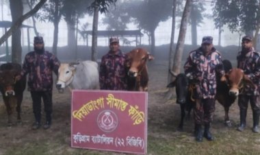 কুড়িগ্রামে ৩৮ লাখ টাকার বিপুল পরিমাণ চোরাচালানের মালামাল জব্দ