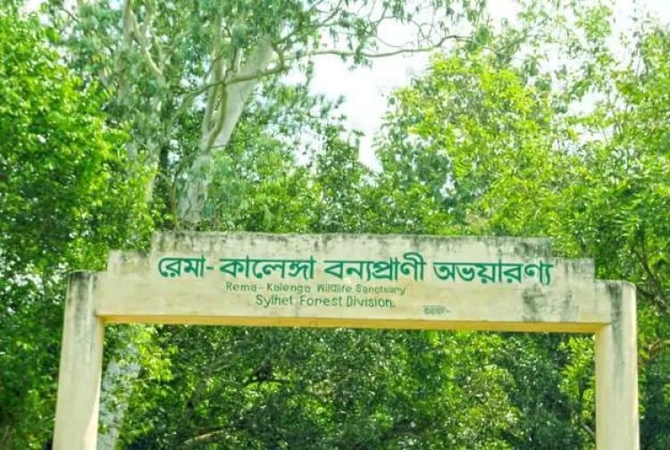 ‎কালেঙ্গায় বনরক্ষী দলের সঙ্গে গাছচোরদের সংঘর্ষ