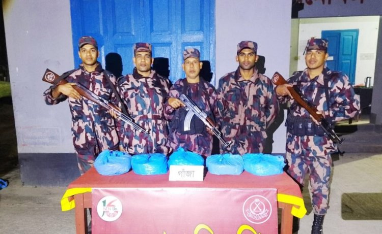 চাঁপাইনবাবগঞ্জে গাঁজা জব্দ