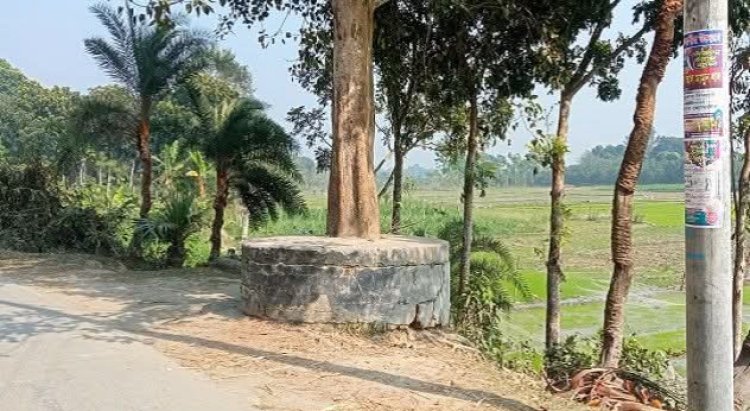 চুয়াডাঙ্গার হৈবতপুরে স্কুলগামী মেয়েদের ওপর ইভটিজিং উদ্বিগ্ন অভিভাবকরা 