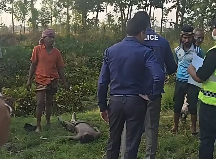 ‎হবিগঞ্জে প্রেমঘটিত বিরোধে নিখোঁজের দুই দিন পর যুবকের মরদেহ উদ্ধার   ‎