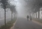 চুয়াডাঙ্গায় হাড়কাঁপানো শীত