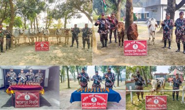 চাঁপাইনবাবগঞ্জের ৫টি সীমান্তে মদ ও গরু জব্দ