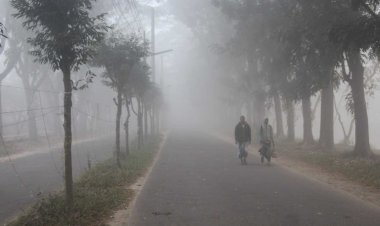 চুয়াডাঙ্গায় হাড়কাঁপানো শীত