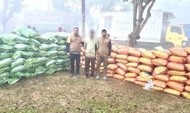 ‎হবিগঞ্জে ডিবির অভিযানে ৮৮ বস্তা ভারতীয় জিরা উদ্ধারসহ একজন গ্রেফতার  ‎