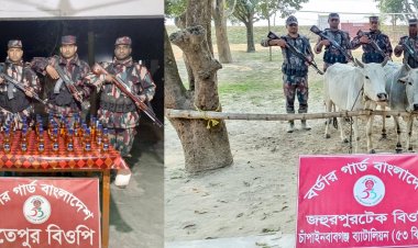 চাঁপাইনবাবগঞ্জ সীমান্তে ১১ লক্ষ টাকার ভারতীয় মদ ও গরু জব্দ