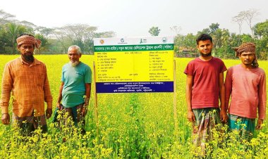 ‎দুমকিতে সরিষার হলুদ ফুলে ভরা মাঠ-কৃষকের চোখে আনন্দ
