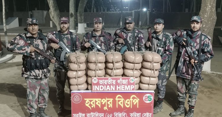 ‎হবিগঞ্জ সীমান্তবর্তী এলাকায় ৫০ কেজি ভারতীয় গাঁজা জব্দ