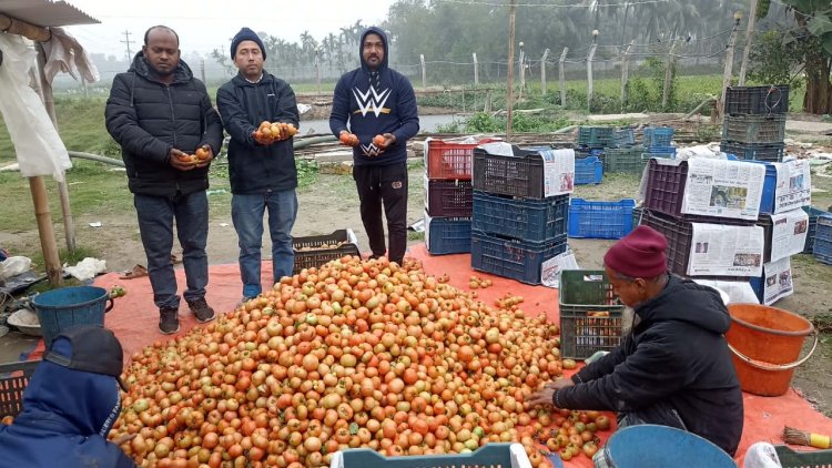 কুমিল্লার বুড়িচংয়ে ইউটিউব দেখে টমেটো চাষে সফল কৃষক