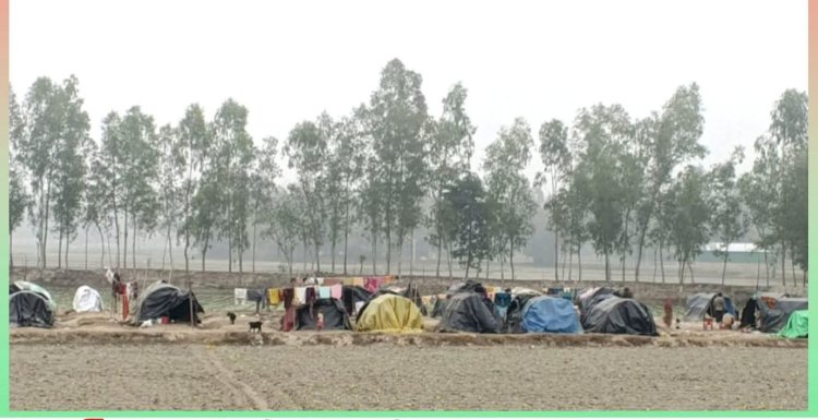 ঠান্ডায় মানবেতর জীবন যাপন করছে বেদে পরিবার