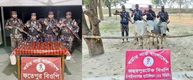 চাঁপাইনবাবগঞ্জ সীমান্তে ১১ লক্ষ টাকার ভারতীয় মদ ও গরু জব্দ