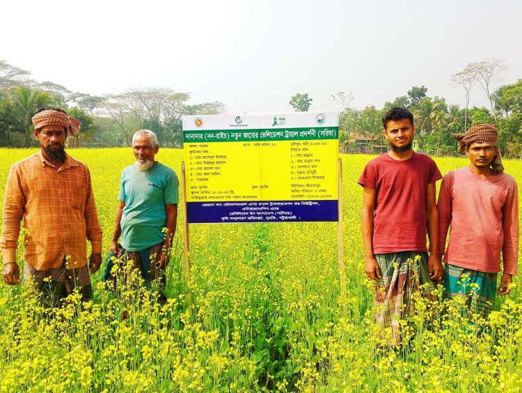 ‎দুমকিতে সরিষার হলুদ ফুলে ভরা মাঠ-কৃষকের চোখে আনন্দ