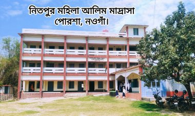 নিতপুর মহিলা আলিম মাদ্রাসা থেকে ট্যালেন্টপুলে বৃত্তি পেয়েছে এক শিক্ষার্থী