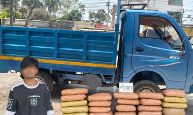 বুড়িচংয়ে ৫৩ কেজি গাঁজাসহ এক তরুণ গ্রেফতার