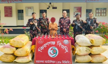 চাঁপাইনবাবগঞ্জ সীমান্তে হলুদ-মরিচের বস্তায় মাদকসহ একজন গ্রেফতার