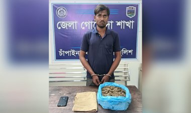 চাঁপাইনবাবগঞ্জে গাঁজাসহ একজন গ্রেফতার 