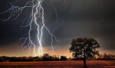 নওগাঁয় বজ্রপাতে প্রাণ গেল দুই কৃষকের