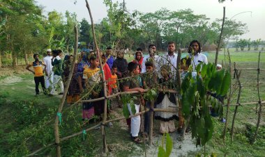 দুমকিতে চলাচলের রাস্তায় গাছ রোপণ ও বেড়া,চরম ভোগান্তিতে বৃদ্ধসহ শিক্ষার্থীরা