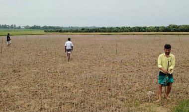 রেকর্ডভুক্ত জমি জোরপূর্বক দখলের অভিযোগ