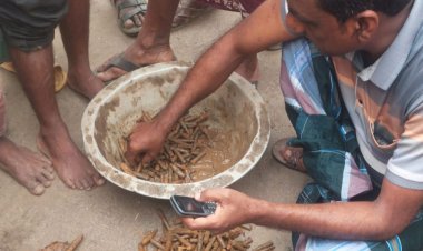 নওগাঁয় ৩২৫ রাউন্ড থ্রি নট থ্রি রাইফেলের গুলি উদ্ধার