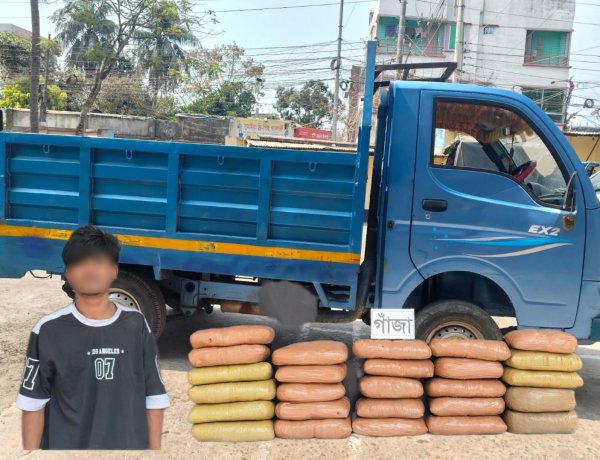 বুড়িচংয়ে ৫৩ কেজি গাঁজাসহ এক তরুণ গ্রেফতার