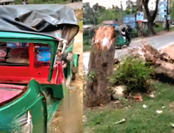 চলন্ত অটোরিকশার ওপর গাছ চাপায় প্রাণ গেল নারীযাত্রীর,স্বামী হাসপাতালে 