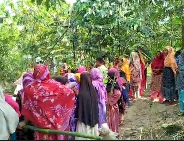 গাছে ঝুলছিলো তিন সন্তানের জননীর লাশ