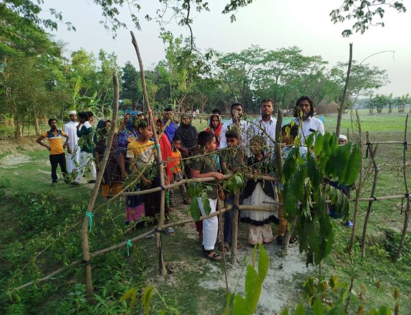 দুমকিতে চলাচলের রাস্তায় গাছ রোপণ ও বেড়া,চরম ভোগান্তিতে বৃদ্ধসহ শিক্ষার্থীরা