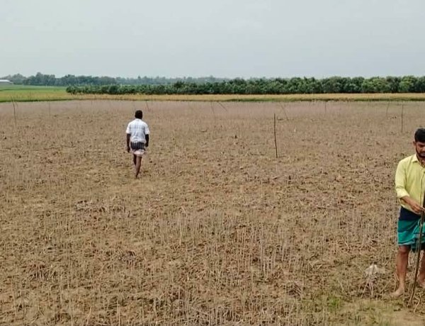 রেকর্ডভুক্ত জমি জোরপূর্বক দখলের অভিযোগ