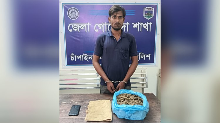চাঁপাইনবাবগঞ্জে গাঁজাসহ একজন গ্রেফতার 