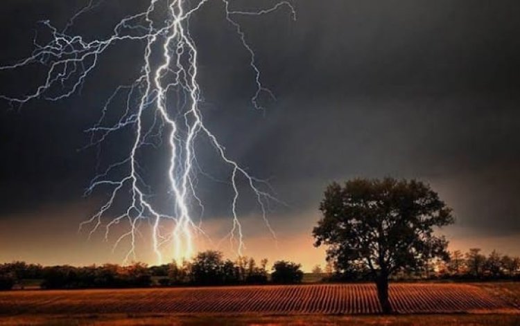 নওগাঁয় বজ্রপাতে প্রাণ গেল দুই কৃষকের