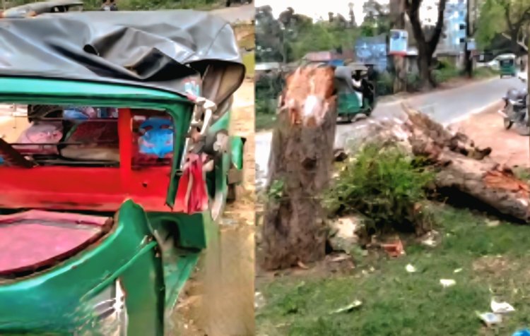 চলন্ত অটোরিকশার ওপর গাছ চাপায় প্রাণ গেল নারীযাত্রীর,স্বামী হাসপাতালে 