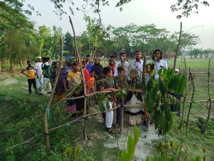 দুমকিতে চলাচলের রাস্তায় গাছ রোপণ ও বেড়া,চরম ভোগান্তিতে বৃদ্ধসহ শিক্ষার্থীরা