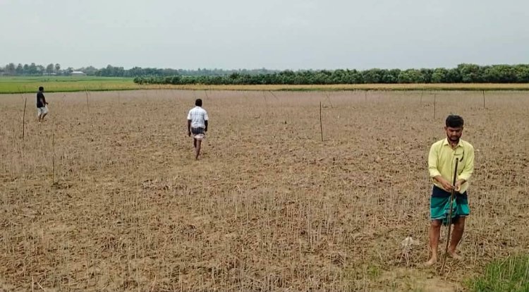 রেকর্ডভুক্ত জমি জোরপূর্বক দখলের অভিযোগ