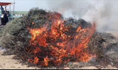 নাসিরনগরে ১০ লক্ষ টাকার অবৈধ রিং ও কারেন্ট জাল পুরিয়ে বিনষ্ট 