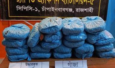 চাঁপাইনবাবগঞ্জে কুরিয়ারে গাঁজা পাচারের সময় একজন আটক