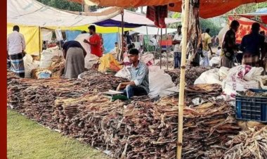 নাসিরনগরে ঐতিহ্যবাহী শুঁটকি মেলা